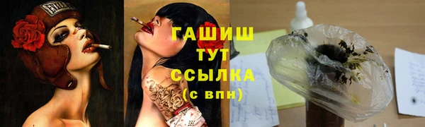 индика Абинск