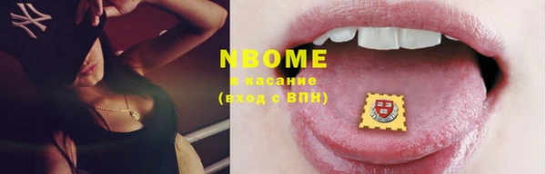 индика Абинск
