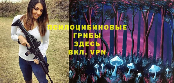 индика Абинск