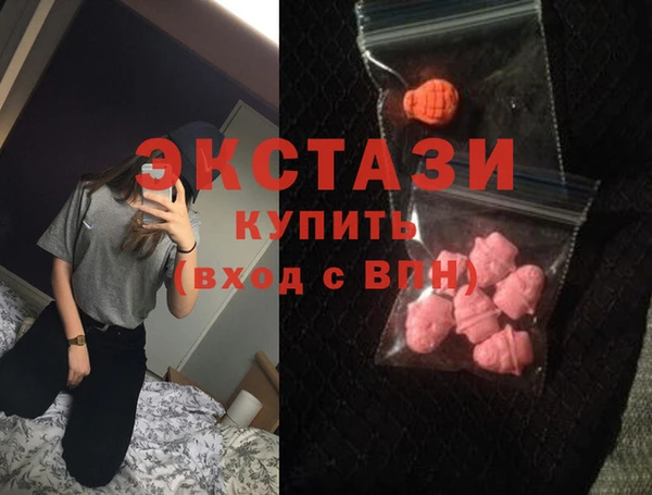 крисы Новозыбков