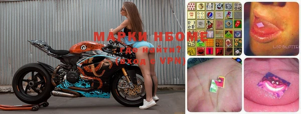 индика Абинск