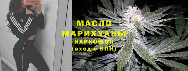 индика Абинск