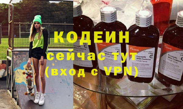 индика Абинск