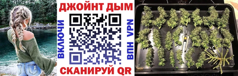 Шишки марихуана планчик  где можно купить   kraken зеркало  Дыгулыбгей 